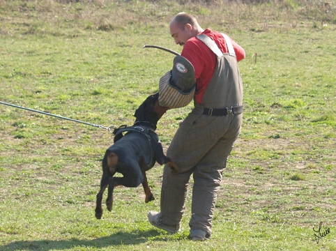 Training 26. 3. 2007